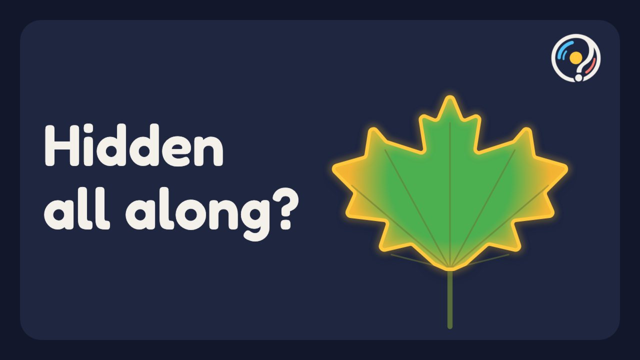 Why Do Leaves Change Color in the Fall?: video thumbnail